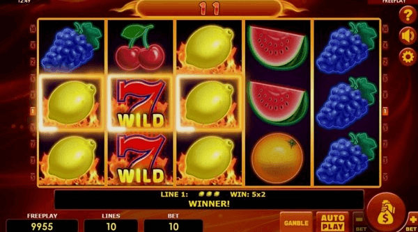 Play Hot Fruits 10 online