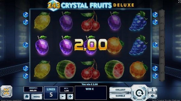 243 Crystal Fruits Online – Pro and Cons