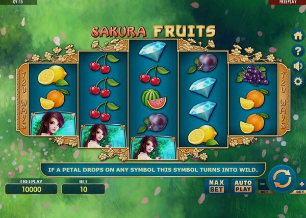 Sakura Fruits Online – Pro and Cons